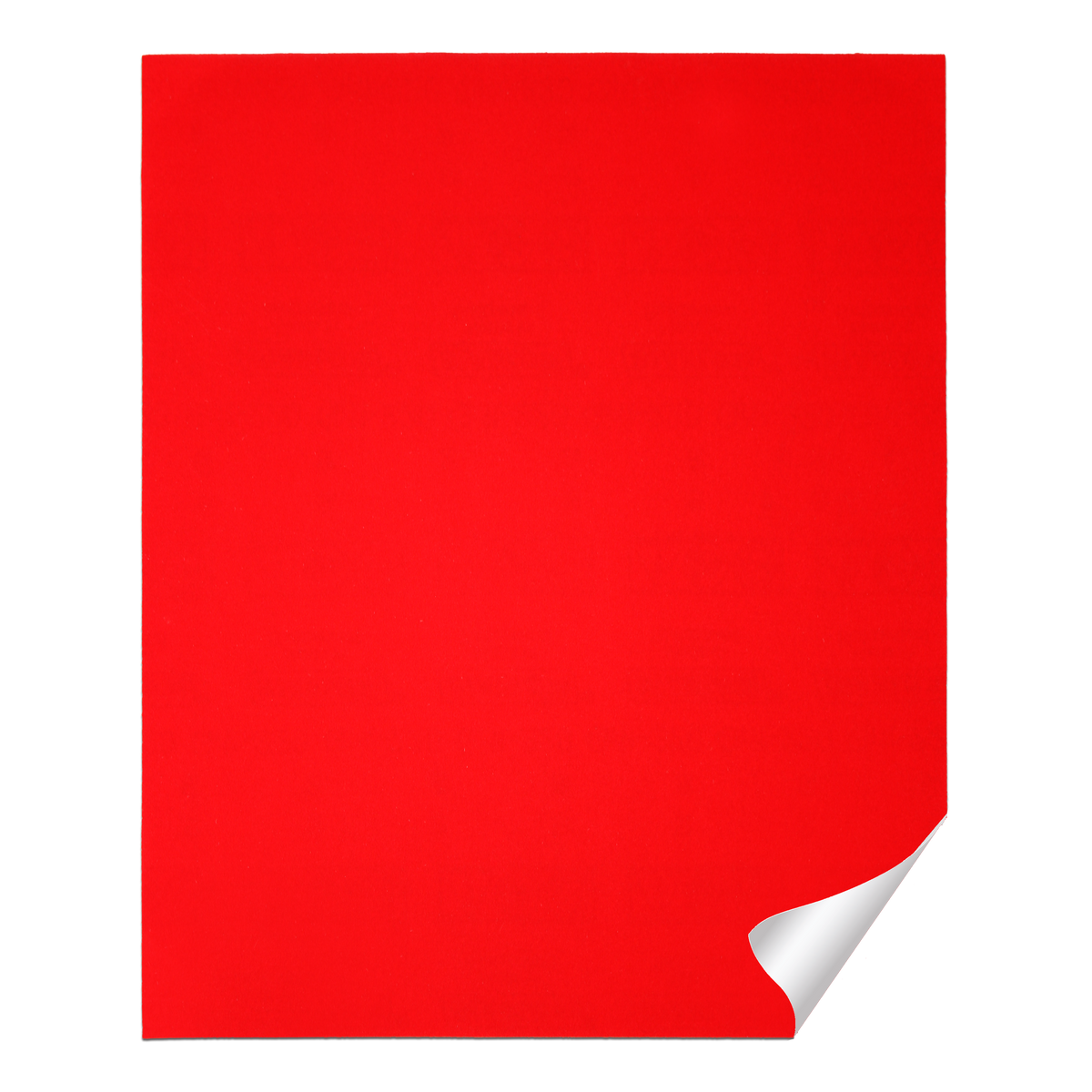 Diablo 9 in. x 11 in. Sanding Sheet